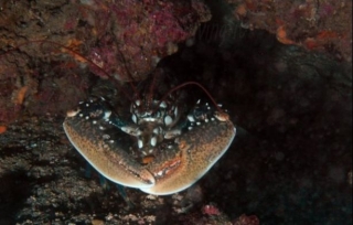  Encuentros sugerentes 